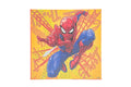 Marvel Spider-Man diamond painting glow in the dark, canvas 19 x 19 cm