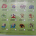 Pokemon - Poster Voordeelset - 3 Posters (50x40 cm) - Mewtu - Mewtwo - Verzamel - Geplastificeerd - Kinderkamer - (Versie 7)